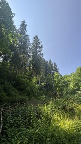 Hayingen - Wimsener Höhle - Schloss Ehrenfels