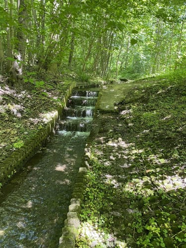 Von den Grummer Teichen zum Tippelsberg