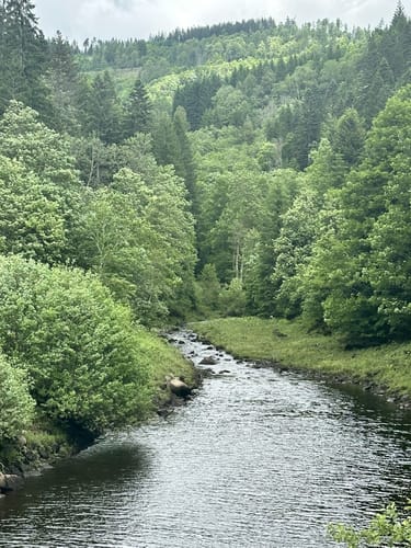Ab Häusern entlang der Schwarza zum Schwarzasee
