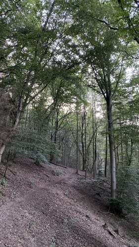 Ockenfelsrunde