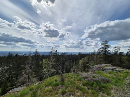 Rundweg: Reiseneggerfelsen - Saubadfelsen