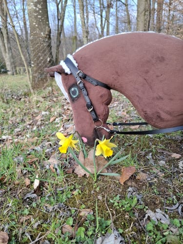Braunäcker - Betzenberg