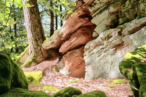 Spirkelbacher Höllenbergtour (Premiumwanderweg)