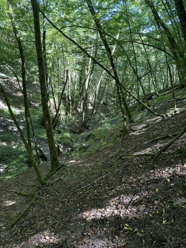 Kupfer-Jaspis-Pfad (Traumschleife)
