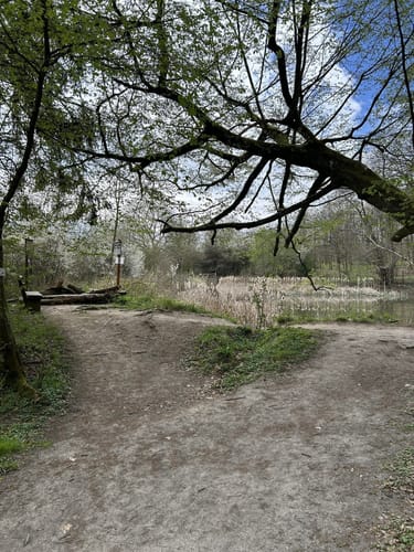 SchächerbachTour (Premiumwanderweg)