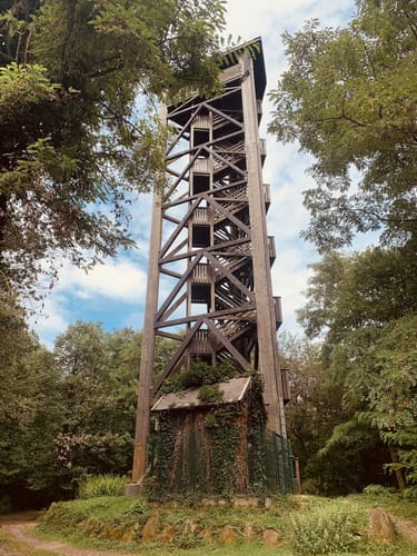 Liebfrauenberg und Kurpark Bad Bergzabern