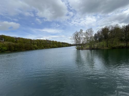 Bergische 50 2023 - 50km