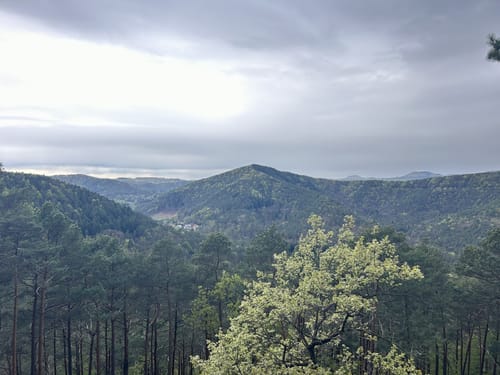 Geiersteine-Tour (Premiumwanderweg)