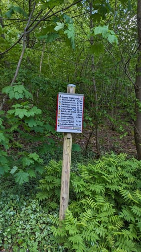 Wolfshagen im Harz - Sommerberg Rundwanderung