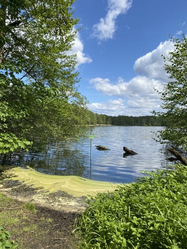 Summt - Mühlenbecker See - Mühlenteich