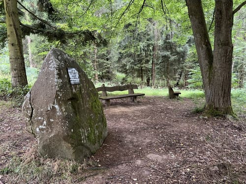 Kaufunger Wald 31: Rundweg Mühlenberg