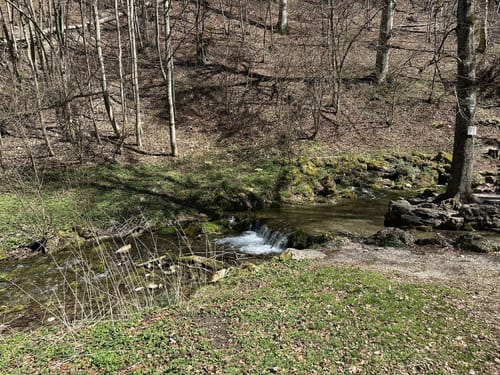 HOCHGEHBERGE I "hochgehträumt" (Premiumwanderweg)