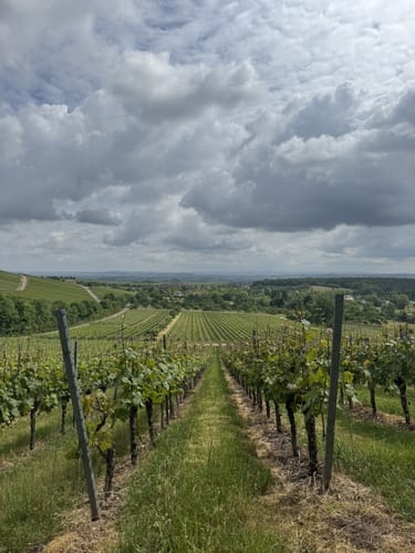 Bönnigheim - Ochsenbach
