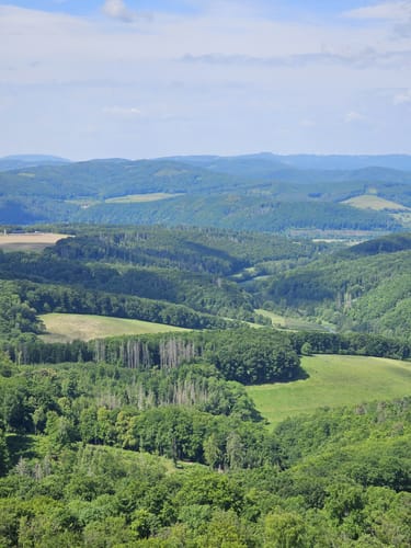 Asbach-Sickenberg P16 (Premiumwanderweg)