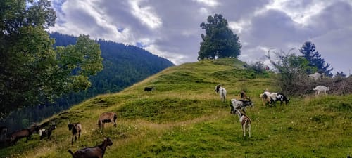 Hocheck und Schwarzenberg ab Oberaudorf