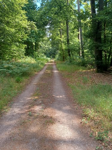 Zum Naturschutzgebiet Tongruben