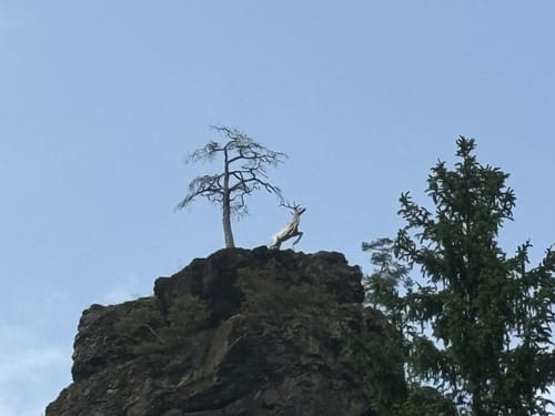 Röhrensteig US11