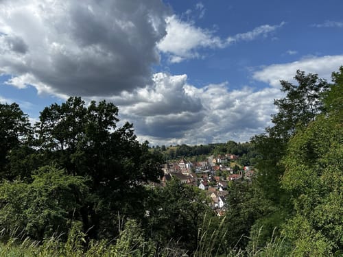 Naturpark-AugenBlick-Runde auf den Wächtersberg in Wildberg