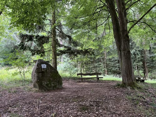 Kaufunger Wald 31: Rundweg Mühlenberg