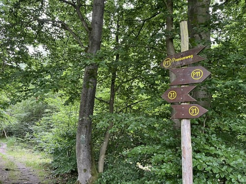 Kaufunger Wald 31: Rundweg Mühlenberg