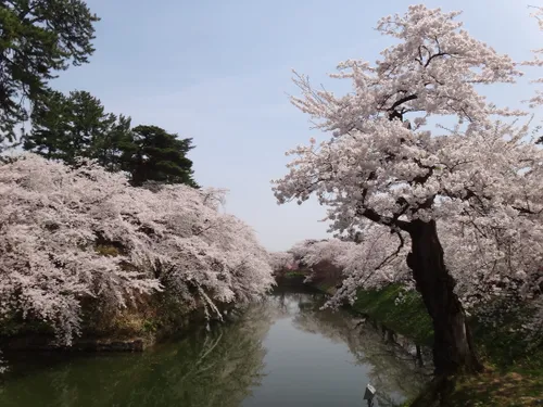 【サボ　行先板】 秋 田 FOR AKITA✕弘前FOR HIROSAKI Best walking trails in Hirosaki | AllTrails