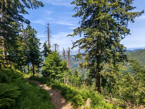 Belchensteig (Genießerpfad)