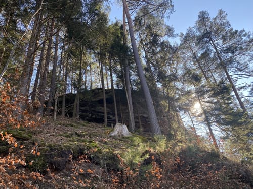 Hauensteiner Nr. 11