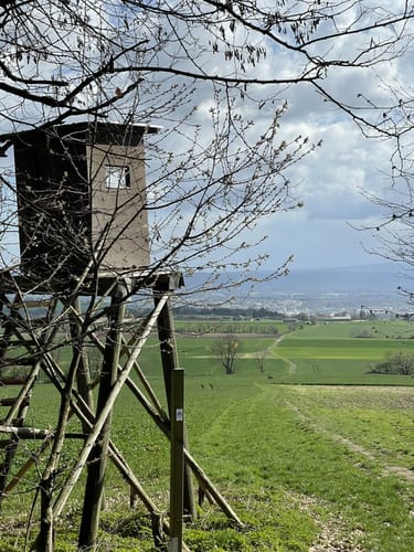 Traumpfädchen Kleiner Stern (Premiumspazierwanderweg)