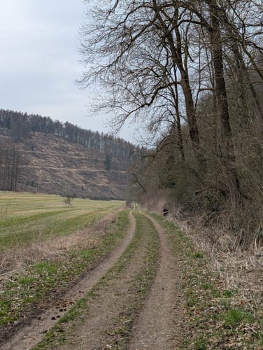 Walderlebnis-Pfad - Naturerbe Wanderwelt Altenbeken