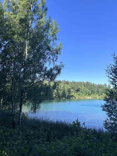 Murner See Weg