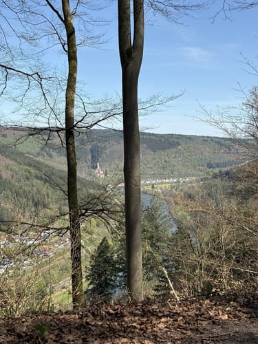 Neckarsteig Etappe 5: Eberbach - Neunkirchen