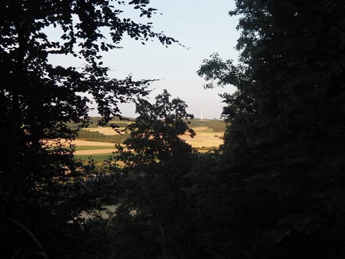 Von Pronsfeld zum Eifel-Zoo