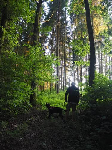 Von Pronsfeld zum Eifel-Zoo
