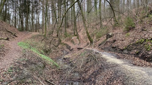 Premiumweg SeeGang Etappe 1: Überlingen - Sipplingen