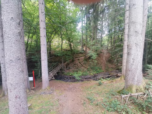 HeimatSpur Lavaweg