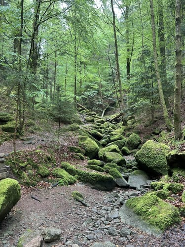 Hirsau - Ernstmühl - Ottenbronn