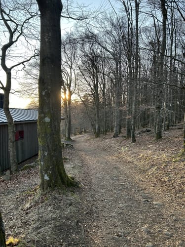 Rhön Rundweg 3