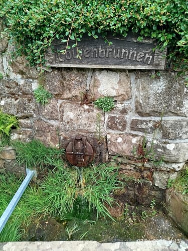 Leininger Odenwaldrunde