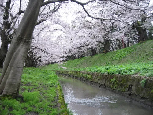 【サボ　行先板】 秋 田 FOR AKITA✕弘前FOR HIROSAKI Best hikes and trails in Hirosaki | AllTrails