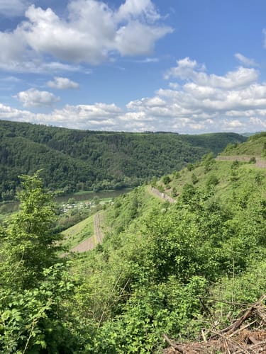 Die Römergräber in Nehren an der Mosel
