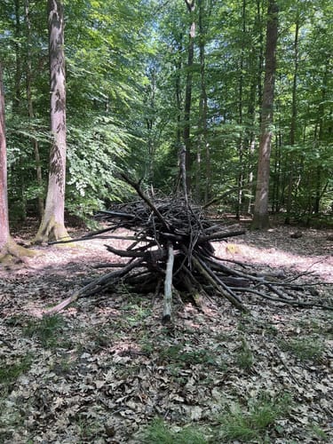 Darmstadter Wildpark-Weg