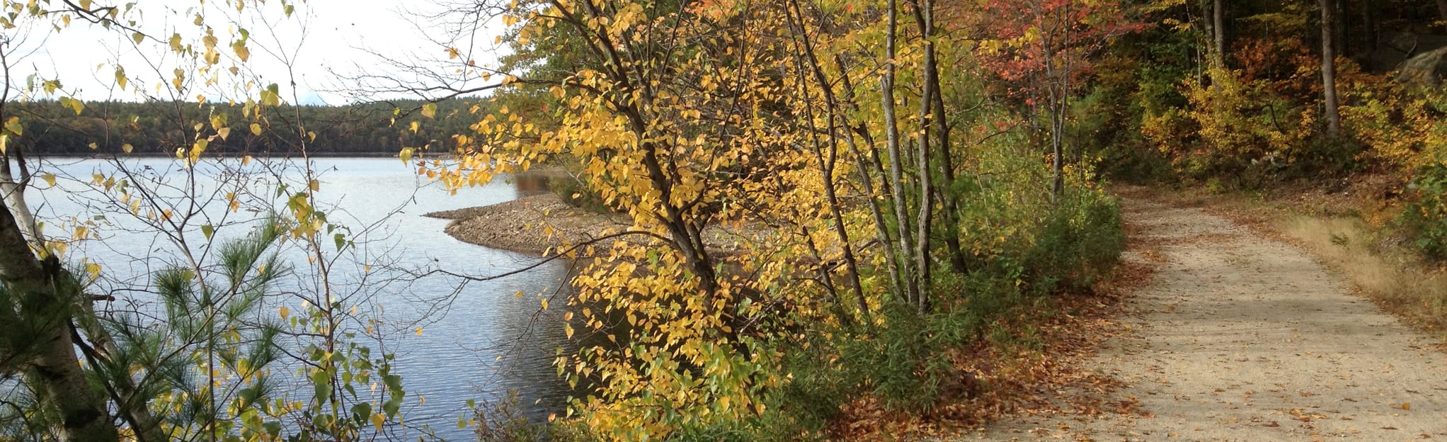 Tower Hill Pond Loop 2299 Reviews, Map New Hampshire AllTrails