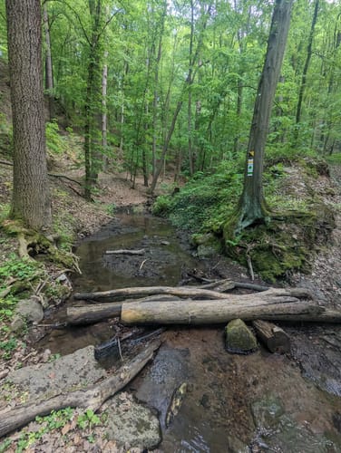 Oberwartha Tännichtgrund