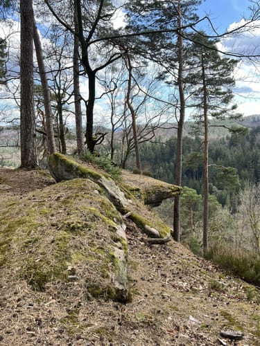 Lemberger Flößertour (Premiumwanderweg)