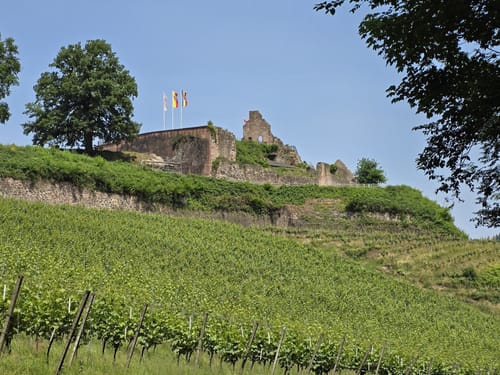 Rund um den Hornwald und die Hochburg