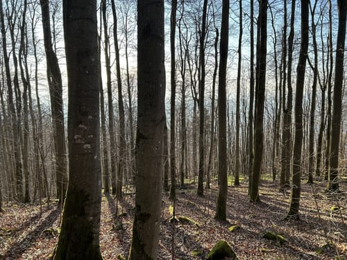Rhön Rundweg 3