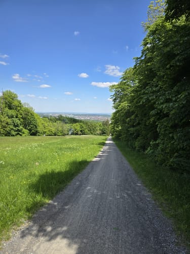 Rotwildpark bei Stuttgart