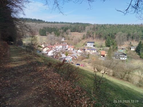 Rundwanderweg Raubach 3: Raubacher Jockelweg