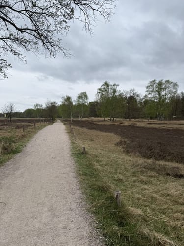 Boberger Niederung mit Boberger Dünen