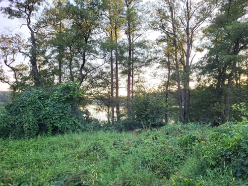 Klobichsee - Rundweg